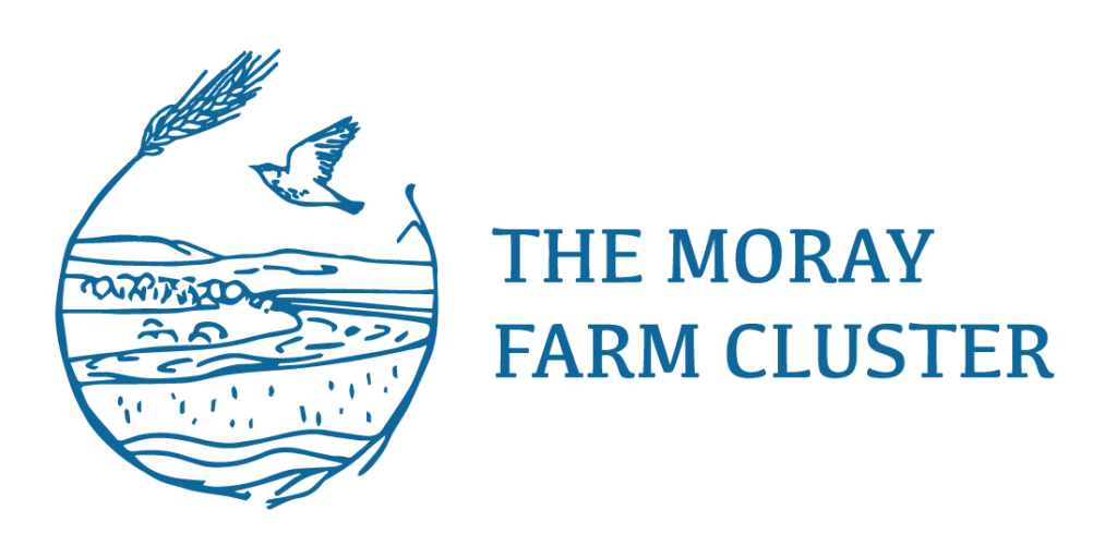 The Moray Farm Cluster